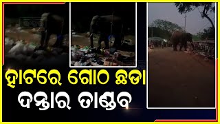 ହାଟକୁ ଅଚାନକ ପଶି ଆସିଲା ଗୋଠଛଡା ଦନ୍ତା ! ଅଳ୍ପକେ ବର୍ତିଲେ ଲୋକେ I