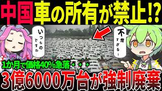 【衝撃】中国で車が持てなくなる！？3億6000万台廃車＆電動バイク禁止の厳格政策とは【ずんだもん＆ゆっくり解説】