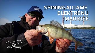 Apie žūklę 2018 05 12. Spiningaujame Elektrėnų mariose.