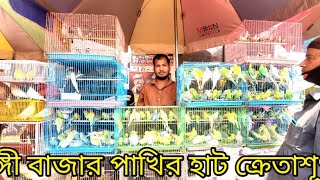 হরতালের ভিতরে জমজমাট টঙ্গী বাজার|এসেছে ফুলটাইম অ্যামাজন প্যারট|সব ধরনের পাখির দাম জানেন এই হাটে/