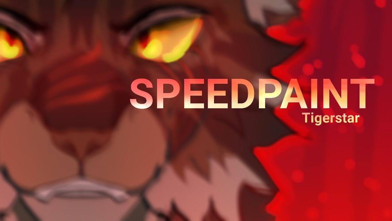 Speedpaint Tigerstar Warriors Cats Youtube