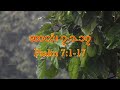 ဆာလံ၊ ၇ ၁ ၁၇ psalm 7 1 17 📖daily holy bible reading နေ့စဉ်သန့်ရှင်းသောနှုတ်ကပတ်တော်ဖတ်ကြားခြင်း