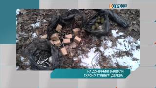 На Донеччині виявили схрон у стовбурі дерева