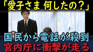 【総集編】【海外の反応】「あれはいったい何だ？」 初めて明治神宮を参拝された敬宮殿下のお姿に世界中が衝撃！世界中を虜にする理由とは？他2本