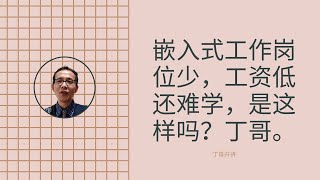 嵌入式工作岗位少，工资低还难学，是这样吗？丁哥。