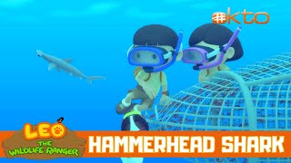 HELP! The Hammerhead Shark Is Trapped In The Net! | Leo the Wildlife Ranger | @mediacorpokto  ​