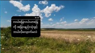 လယ်ယာမြေမှအခြားနည်းသုံးစွဲခွင့် (လန-၃၉၊ လယ-၃၀)