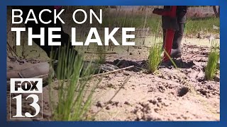 Native plants finally return to Utah Lake