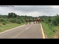 the largest group of camels أكبر مجموعة من الإبل