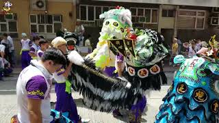 筲箕湾譚公誕  駿義花炮會   醒獅匯演   又見陳山聰 好多人爭住同佢影相