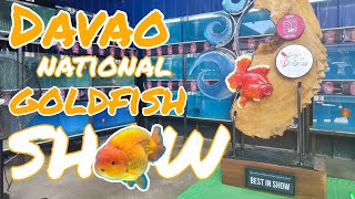 EP218. DAVAO NATIONAL GOLDFISH SHOW | GOLDFISH ADVENTURE