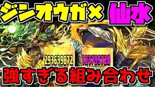 強化後ジンオウガ×仙水が強すぎ お手軽1億ダメージ 7×6盤面最強説【パズドラ】