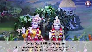 Jeevan Kunj Bihari | Kirtan & Lecture by Swami Mukundananda in Radha Krishna Temple of Bay Area