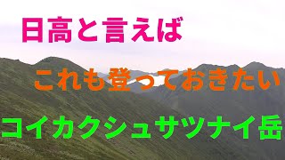 日高山脈　コイカクシュサツナイ岳に登る