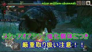 ヌシ・アオアシラ重大事変　イベントクエスト【モンハンライズ動画】  #モンハンライズ #ゆっくり実況 #モンハン動画 #ヌシ・アオアシラ #動画制作 #強化個体 #イベントクエスト  ＃42