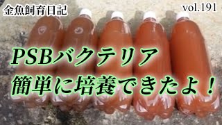 金魚の色揚げ、病気予防にPSBバクテリア。簡単に培養できるよ。