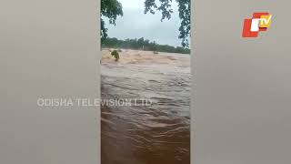 Watch: Video shows flood devastation in Odisha’s Karanjia