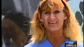ashtabula apl adoption deals dogs cats