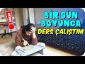 Bir Gün Boyunca Ders Çalıştım  | LGS Öğrencisinden Rekor Denemesi 🏁