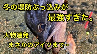 冬の堤防ぶっ込み釣りで大物連発。inいわき