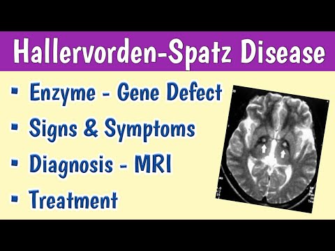 What causes hallervorden Spatz syndrome?