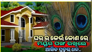 ଘରର କେଉଁଠି ରଖିଲେ ମୟୁର ପଙ୍ଖ ଘରକୁ ଆସିବ ପ୍ରଚୁର ଧନ💰💰#jkmystery