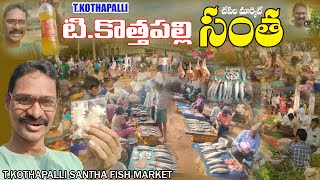 T.kothapalli santha fish market టి.కొత్తపల్లి సంత చేపల మార్కెట్ #ramanavideos #foodmarketsindia