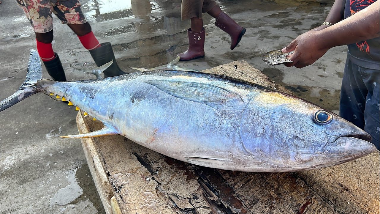 Giant Yellowfin Tuna Cutting In Street Food Tuna Cutting Skills Youtube