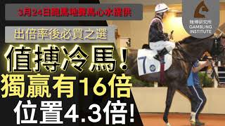 【賽馬貼士】3月24日 值搏冷馬！｜獨贏有16倍 位置都有4.3倍！ 值得一試！