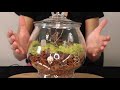 dark academia decor graveyard terrarium with buried skeleton