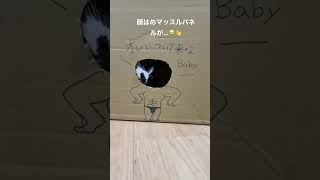 猫の顔はめパネルを作ったよ😄😄… #cat  #猫　#猫のいる暮らし