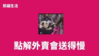 【熊貓生活】點解Foodpanda  會送得慢