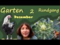 Gartenrundgang Dezember Teil 2 │ Garten, Kaninchen und Hühner