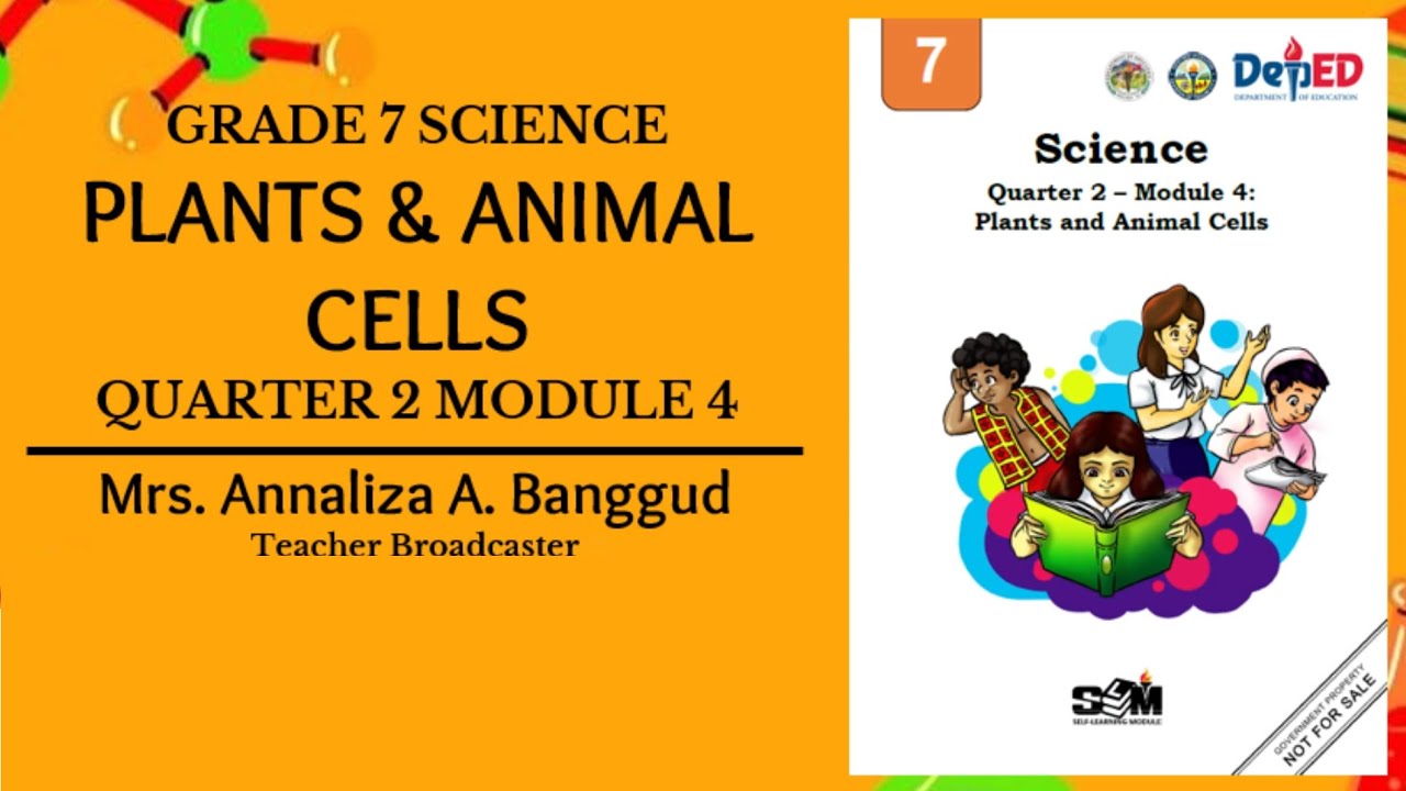 SCIENCE 7 (Quarter 2 Module 4) - Plant And Animal Cells - YouTube