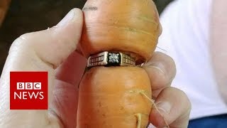 Woman finds long-lost diamond ring on carrot in garden - BBC News