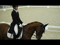 第70回東京馬術大会cdi tokyo 2024 10 19 高島屋ピアッフェ杯 jra馬事公苑