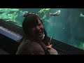 アイドルと海遊館デート！！