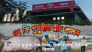 ৩৭ টা পুখুৰীত মীন পালন। গাহৰি কুকুৰা গৰু দানা শুকান মাছ সকলো বিলাক একেলগে