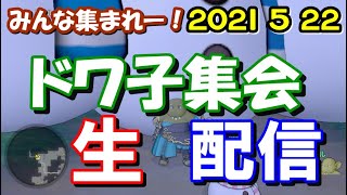 【ドラクエ10】2021.5.22　ドワ子集会　生配信