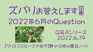 ズバリお答えします‼️ 2022年6月のQuestion