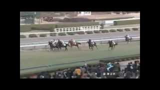 2012年12月16日（日）　2歳新馬　シャルロッカ