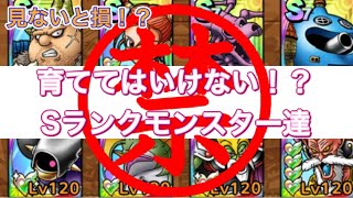 【ドラクエタクト】見ないと損する！？育ててはいけない！？Sランクモンスター達