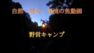 🔥自然、焚火、渓流の魚　野営キャンプCamp fires