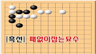 백을 패없이 잡는 절묘한 수법 - 바둑사활 묘수