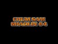 bak sil lum northern shaolin chum sam shaolin 4 sample 49 wle.com