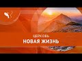 Онлайн-трансляция воскресного собрания | Молитва | Прославление | Проповедь