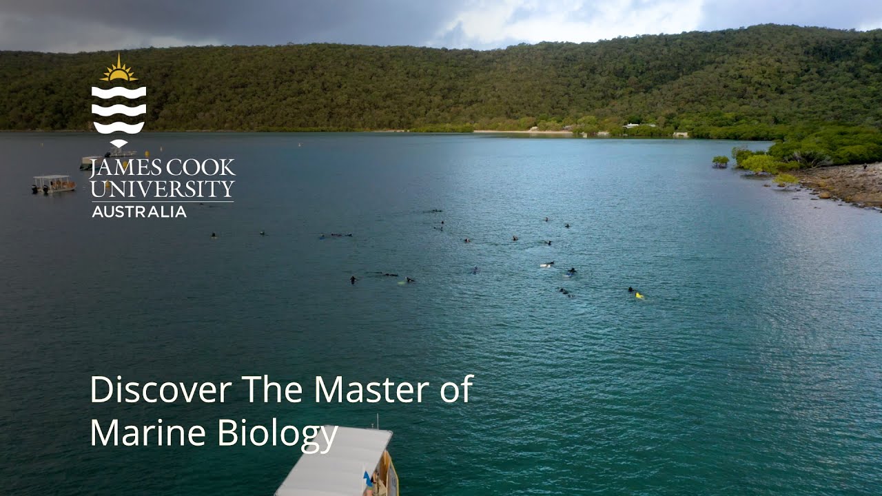 Discover The Master Of Marine Biology - YouTube