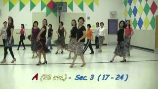 Roman Guitar (Tango) - Feb. 11 - 2012 - Line Dance.mp4