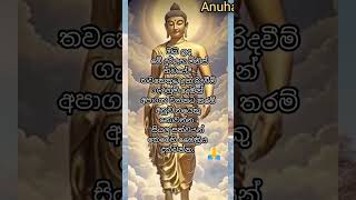 සියලු සත්වයන් කෙරෙහි කරුණාව මෛත්‍රිය පතුරවන්න 🙏🙏🙏/#anuhas video #viralvideo #shorts