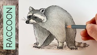 The only RACCOON tutorial you'll ever need